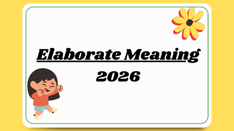 elaborate meaning