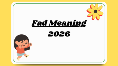 Fad Meaning