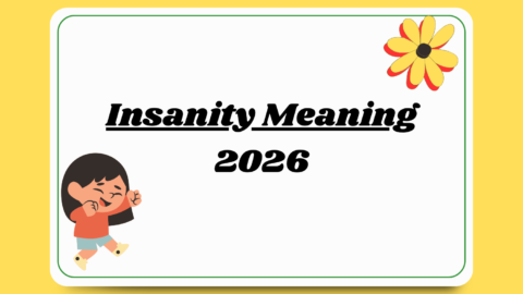 Insanity Meaning