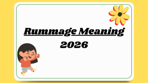 Rummage Meaning