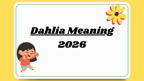 Dahlia Meaning