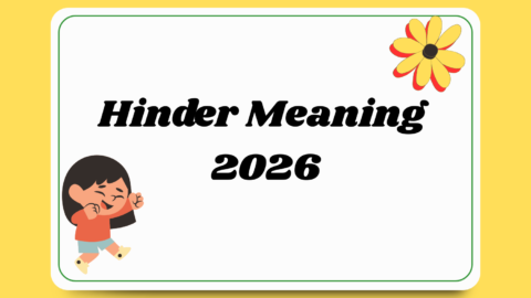 Hinder Meaning