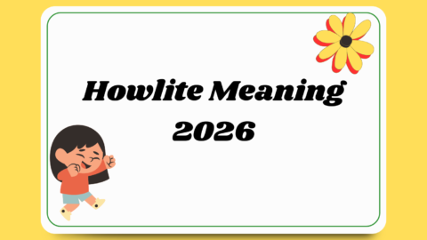Howlite Meaning
