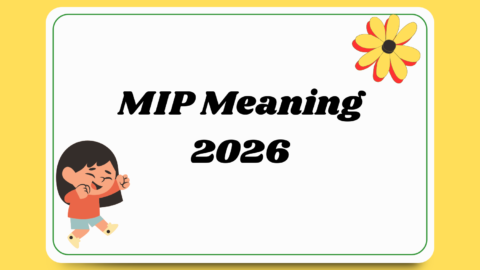 MIP Meaning