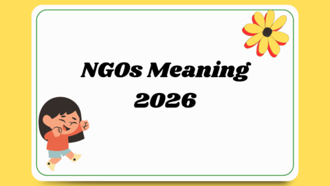 NGOs Meaning