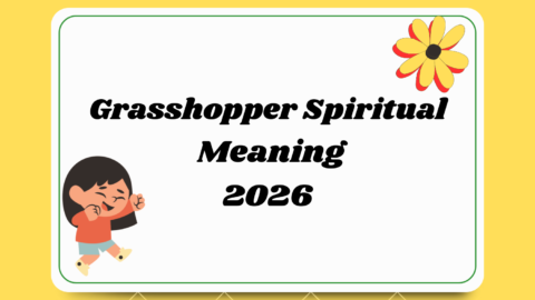 Grasshopper Spiritual Meaning